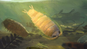 Exploring the origins of underground freshwater vesicles through 125 million year old fossils