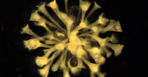 How dining "family style" shaped life as we know it