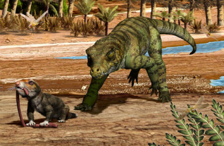 How did crocodile ancestors survive two mass extinctions?