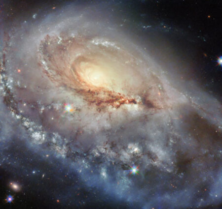 Hubble space telescope observes deformed spiral galaxy: ngc 1961