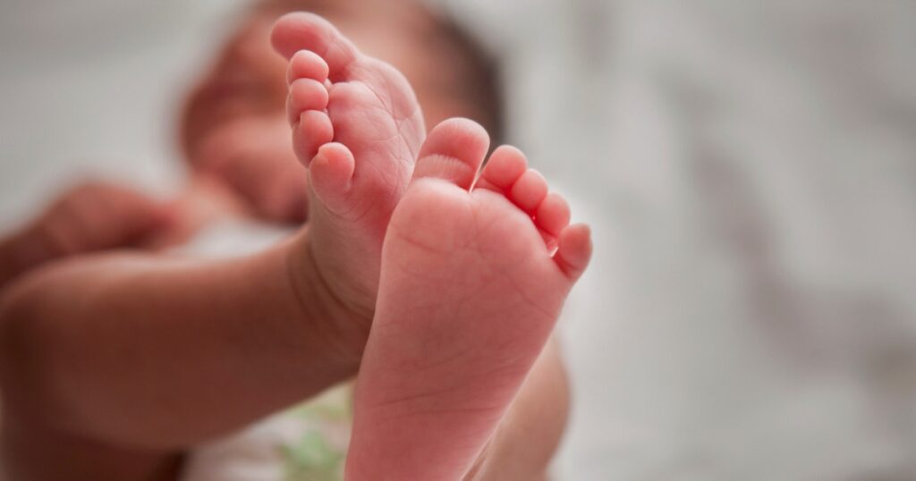 In 2024, birth rate holds steady near record lows