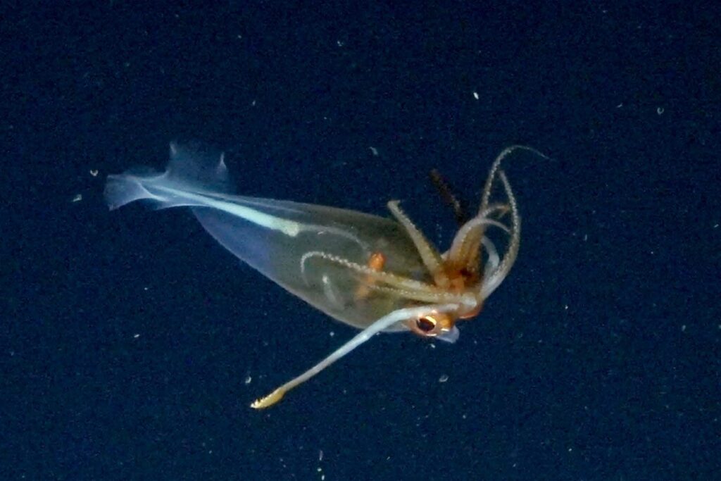 Inside the mission where he captured his first video of