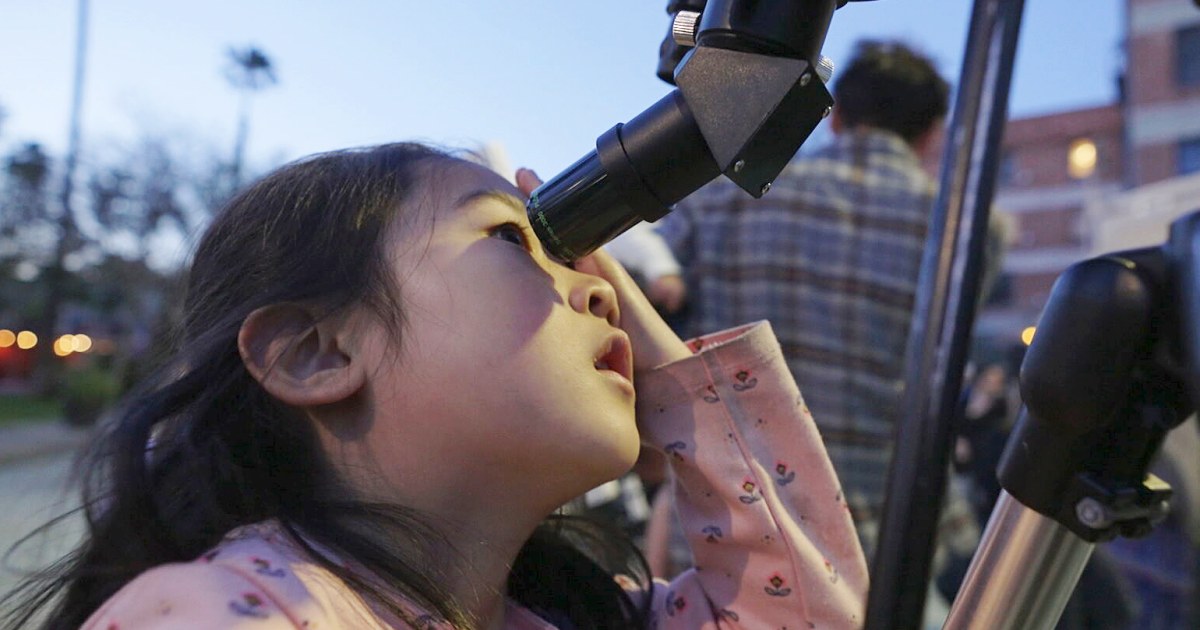 Looking up in the city of stars: the los angeles
