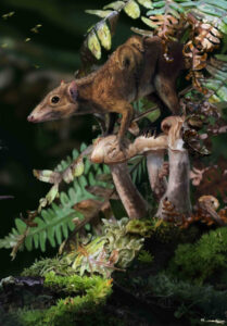 Mammals evolved to thrive on land in the late cretaceous