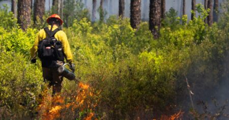 Nasa's budget cuts endanger wildfire combat program