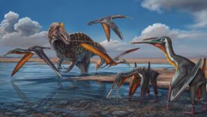 New miyashita species found in thailand by paleontologists