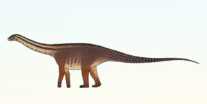 Newly discovered sauropod dinosaur species found in argentina