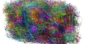 Researchers create detailed map of neural connections in mouse brain