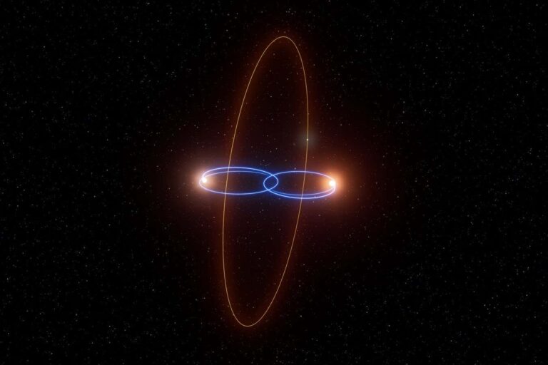 Strange vertical orbits of an exoplanet observed around a binary brown dwarf system Strange vertical orbits of an exoplanet observed around a binary
