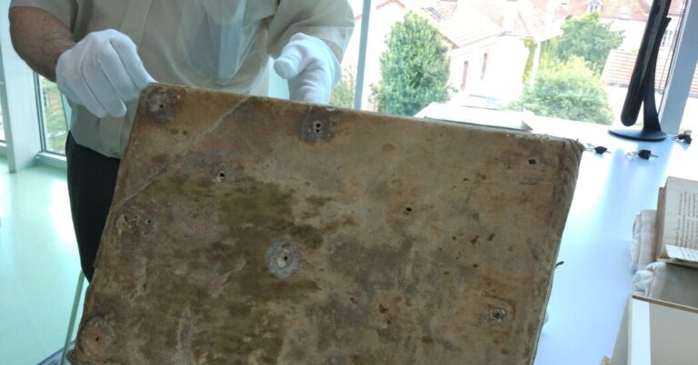 Surprising furry secrets hidden within mystical medieval book covers