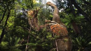 Tericinosaurus, a peculiar new species, is known to have only