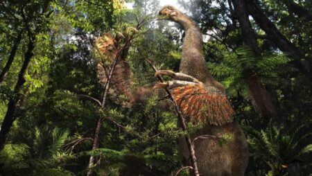 Tericinosaurus, a peculiar new species, is known to have only