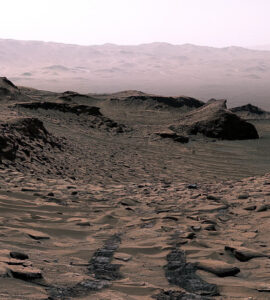 The curiosity rover uncovers carbonate minerals on early mars, revealing