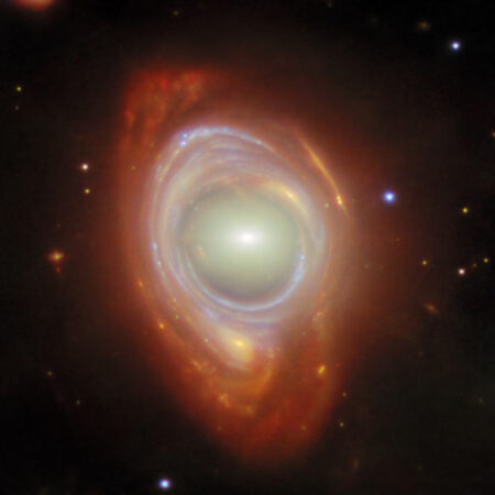 Webb discovers the highly elusive "einstein ring"