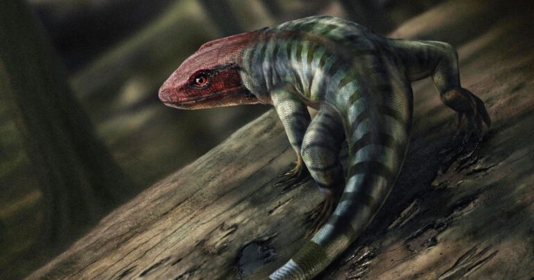 Ancient Reptile Footprints Challenge Theories on Land Animal Evolution Timing Ancient reptile footprints challenge theories on land animal evolution timing
