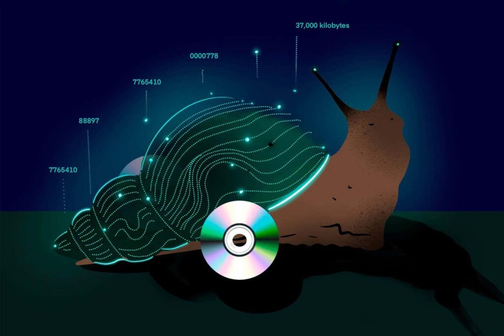 Are snails a better metaphor for big data than whales?