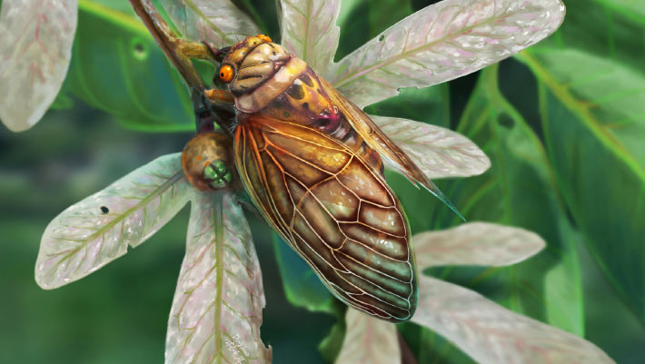 CICADA: A Newly Discovered Fossil Song Species from Germany Cicada: a newly discovered fossil song species from germany