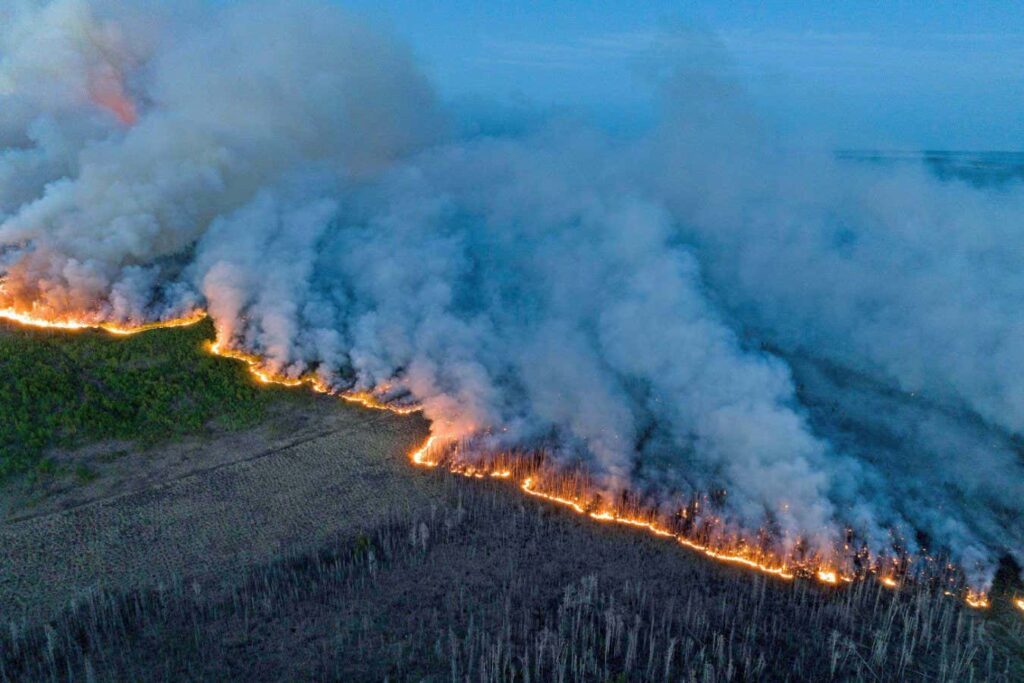 Canada's major wildfires contributed to global cooling in 2023