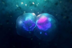 Cells can be divided in unforeseen ways