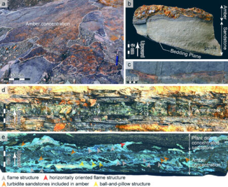Cretaceous Marine Deposits Reveal Evidence of a Massive Ancient Tsunami Cretaceous marine deposits reveal evidence of a massive ancient tsunami
