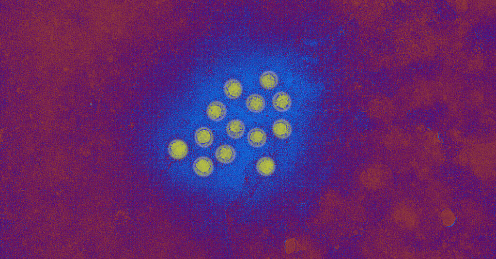 Essential information on the hepatitis a outbreak in la county