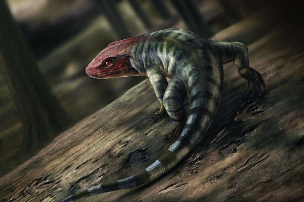 Fossil trucks redefine the story of terrestrial animals, departing from