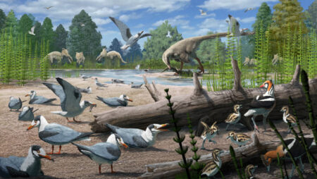Fossils from 73 million years ago reveal the earliest evidence