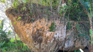 Gigantic clifftop boulder in tonga reveals evidence of an ancient