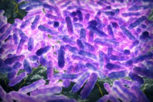 Leprosy was present in america long before european arrival