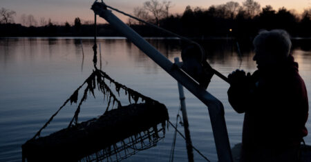 Maryland's sewage sludge fertilizer: virginians express discontent.