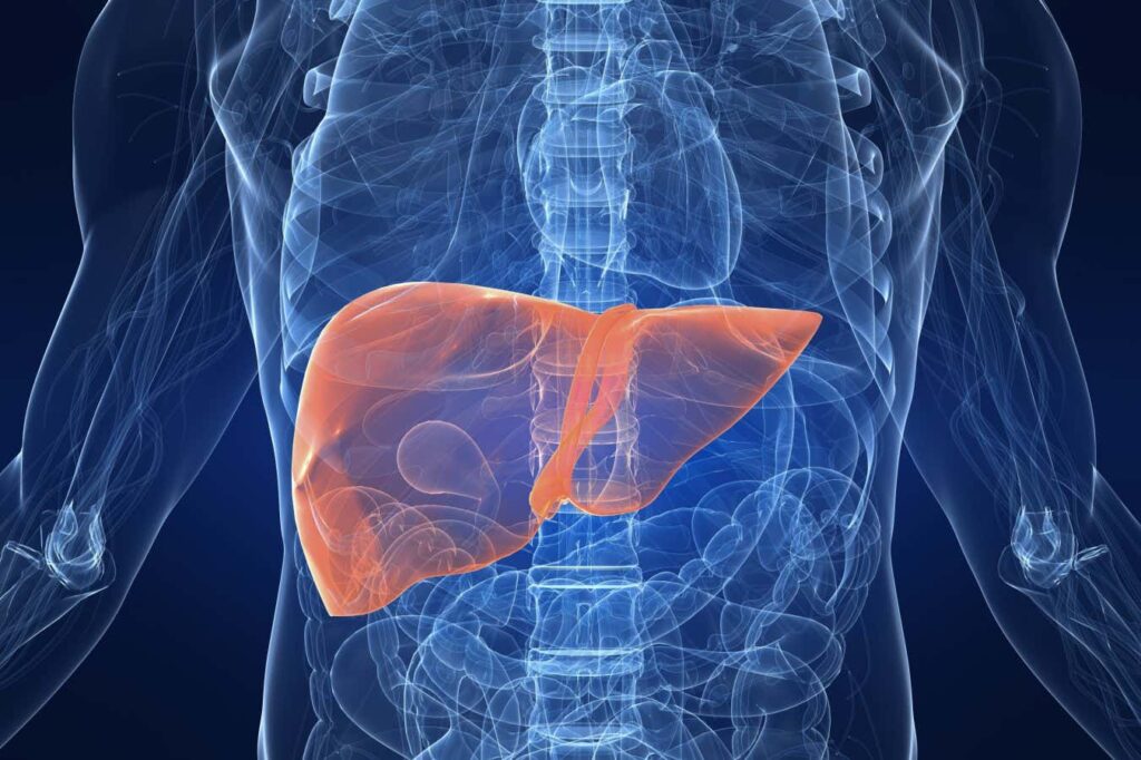 Medications Similar to Wegovy Show Effectiveness in Treating Fatty Liver Disease Medications similar to wegovy show effectiveness in treating fatty liver