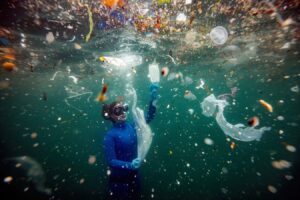 Microplastics could impair the ocean's carbon capture capacity