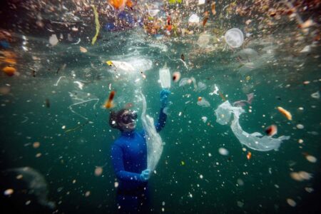 Microplastics Could Impair the Ocean’s Carbon Capture Capacity Microplastics could impair the ocean's carbon capture capacity