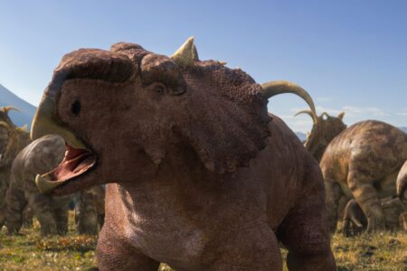 Mystery of the 10,000-Dinosaur Cemetery May Finally Be Unresolved Mystery of the 10,000 dinosaur cemetery may finally be unresolved