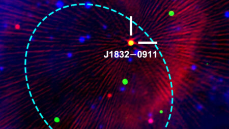 Radio waves and x ray emitting stars: a new perspective from