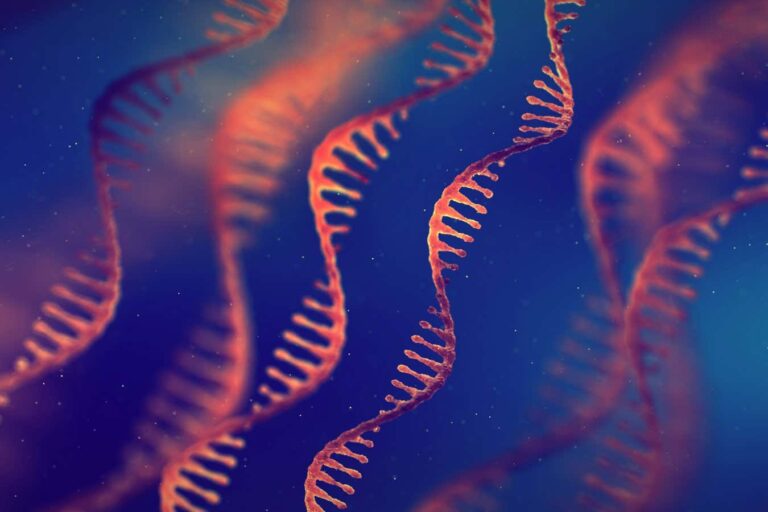 Recreating the initial steps of life's evolution