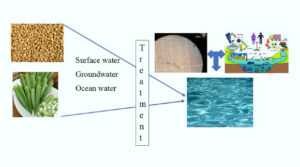 Research reveals fenugreek and okra extracts can eliminate up to