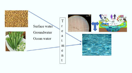 Research Reveals Fenugreek and Okra Extracts Can Eliminate Up to 90% of Microplastics from Water Sources Research reveals fenugreek and okra extracts can eliminate up to