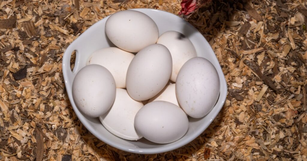 Science reveals dropping eggs on their side reduces the risk