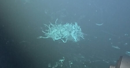 Scientists first observed volcanic eruptions at deep sea ridges