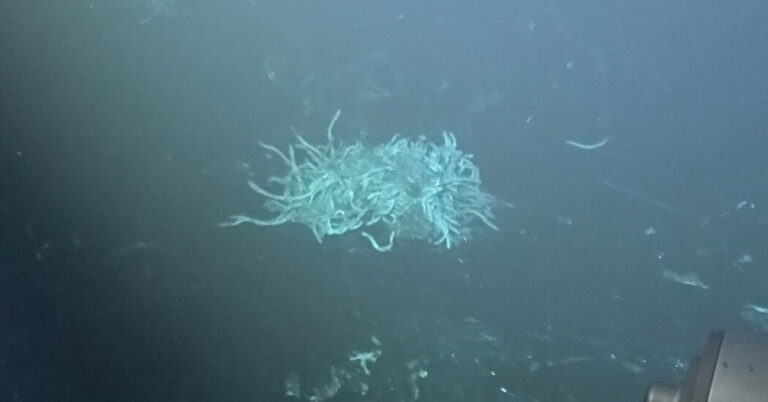 Scientists first observed volcanic eruptions at deep sea ridges