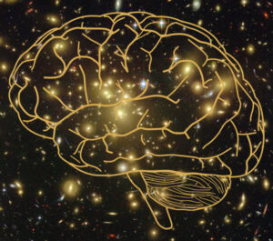Seven years of research uncover fresh perspectives on consciousness