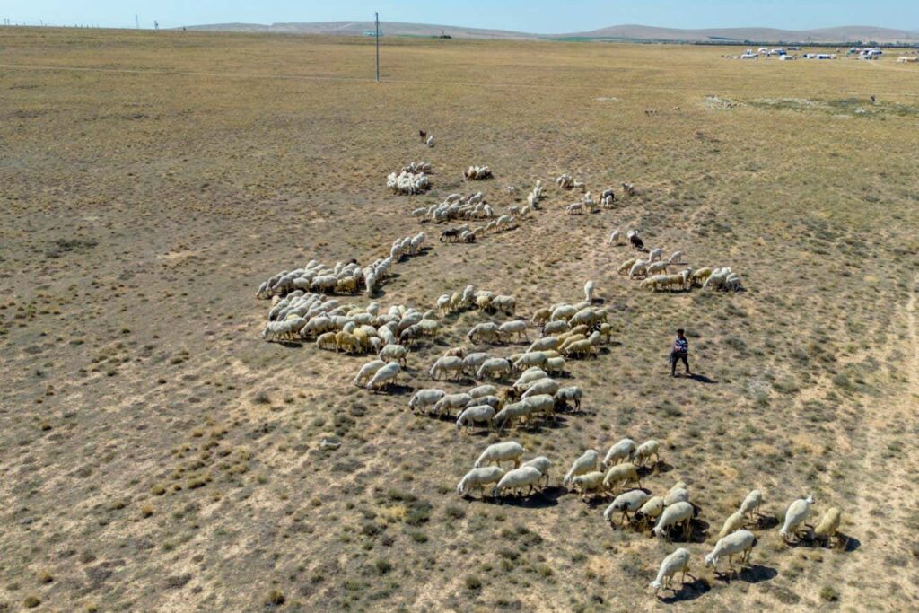 Severe Heat Waves and Droughts Hit Eurasia Back-to-Back Severe heat waves and droughts hit eurasia back to back