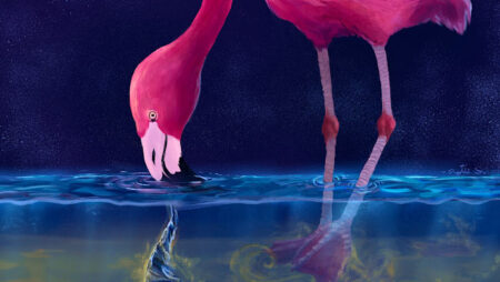 Study: Flamingos Utilize Beaks and Flexible Legs to Generate Water Tornadoes for Catching Prey Study: flamingos utilize beaks and flexible legs to generate water