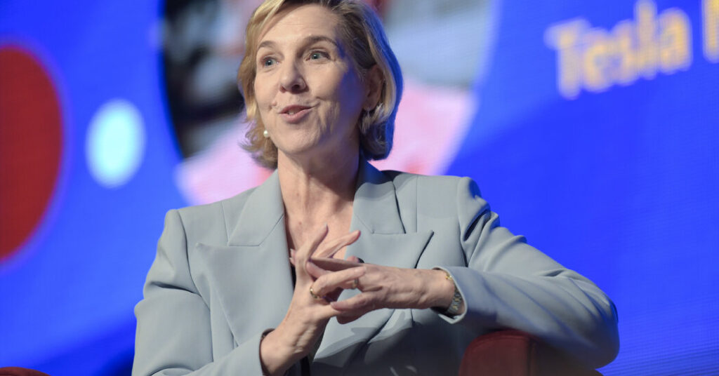 Tesla's chair claims board did not attempt to replace elon