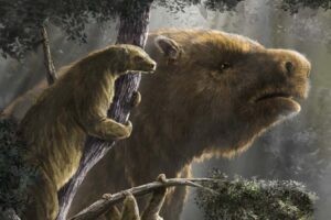 The giant ground sloth developed three distinct rotations for a