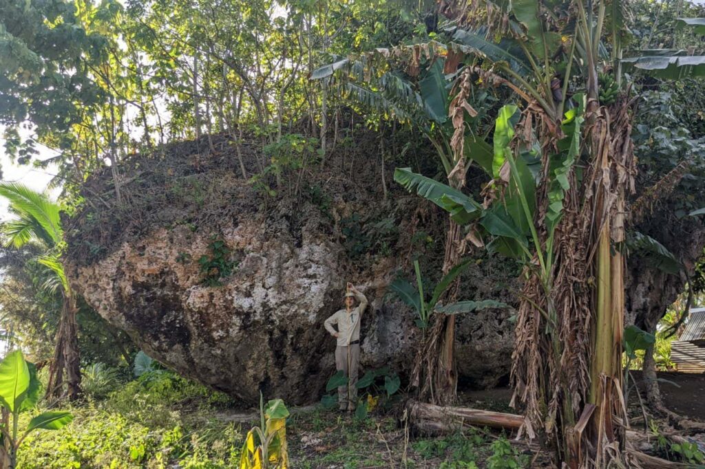 The Massive Boulder at Clifftop, Tonga, Was Pulled by 50-Meter High Waves The massive boulder at clifftop, tonga, was pulled by 50 meter