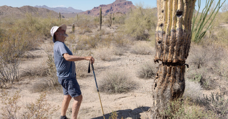 This Year’s Weed Warrior: A Man’s Mission to Protect the Sonoran Desert This year's weed warrior: a man's mission to protect the