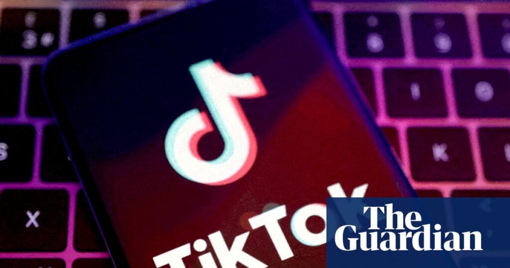 Tiktok breached eu advertising transparency laws, says committee