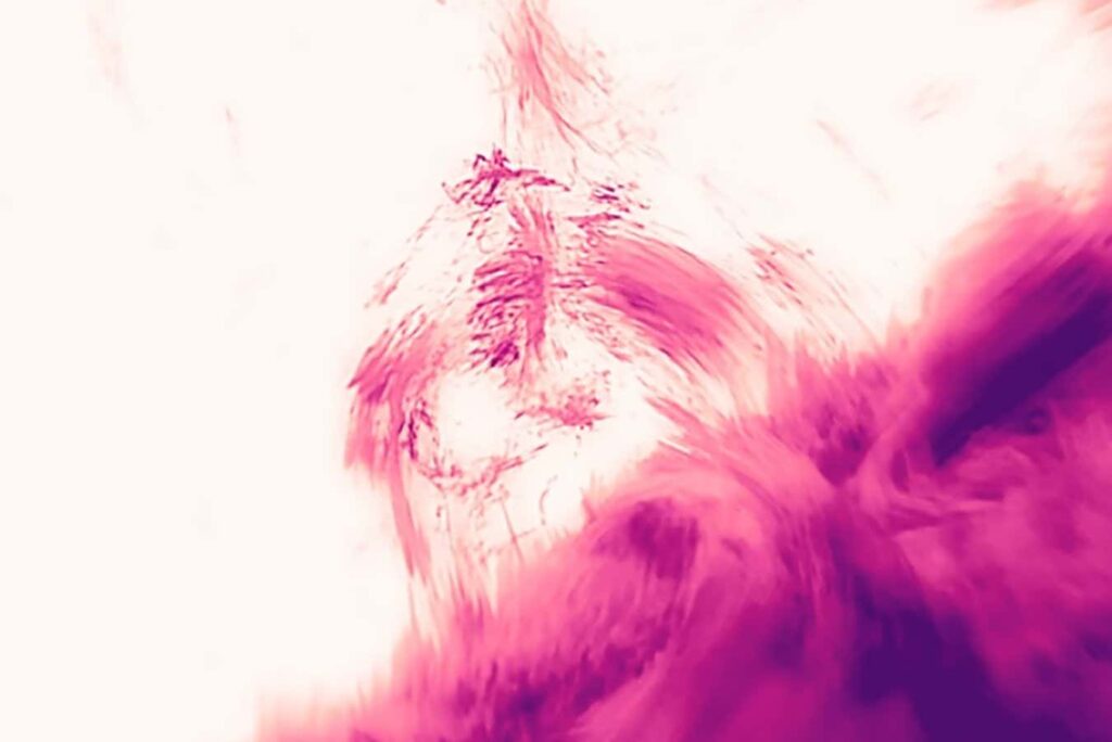 Unexpected image uncovers new insights into the sun's atmosphere